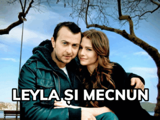 Leyla și Mecnun